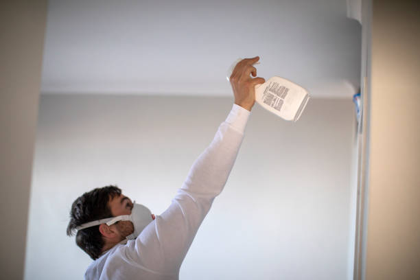 Best Professional Mold Removal  in Cape Neddick, ME